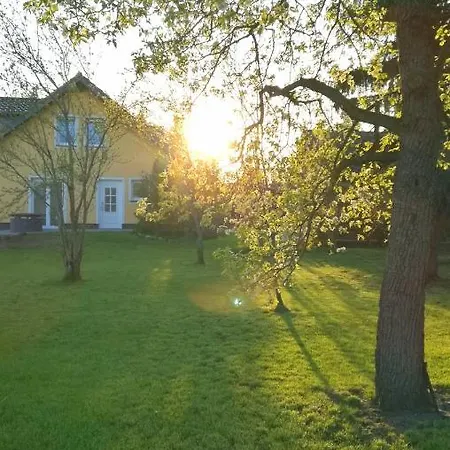 Luba Lipa * Drachhausen