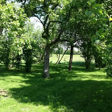 Apartment Luba Lipa Drachhausen