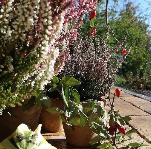 Lejlighed Luba Lipa Drachhausen